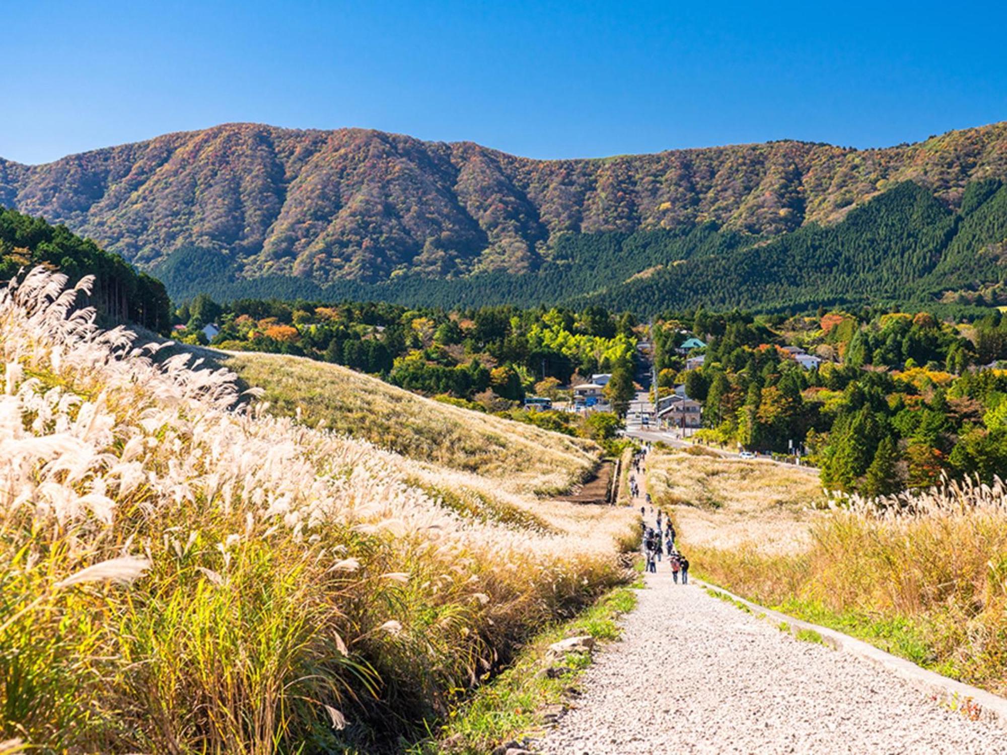 Hotel Shikinoyakata Hakone Ashinoko Dış mekan fotoğraf